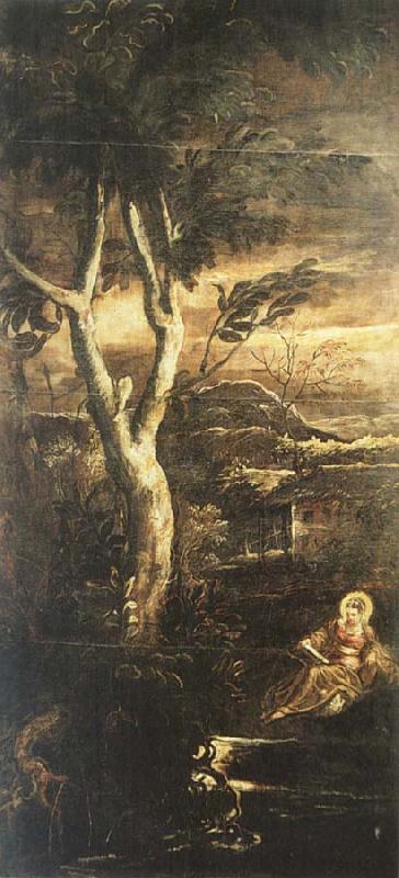 TINTORETTO, Jacopo Mary Magdalene china oil painting image